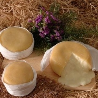 São Romão Buterred Sheep Cheese 1.1kg