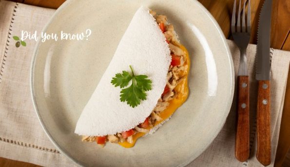 Soft taco on a beige plate filled with chicken, cheese, and peppers, garnished with parsley; decorative 'Did you know?' text in the corner.