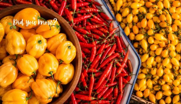 Bowl of yellow bell peppers with red chilies and yellow cherry tomatoes; 'Did you know?' overlay text.