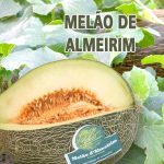 Melão Casca de Carvalho - Delícias Melão Casca de Carvalho