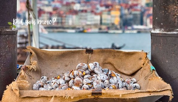 Burlap crate filled with dusty nuts on a dock, with a colorful harbor town blurred in the background and a 'Did you know?' overlay.