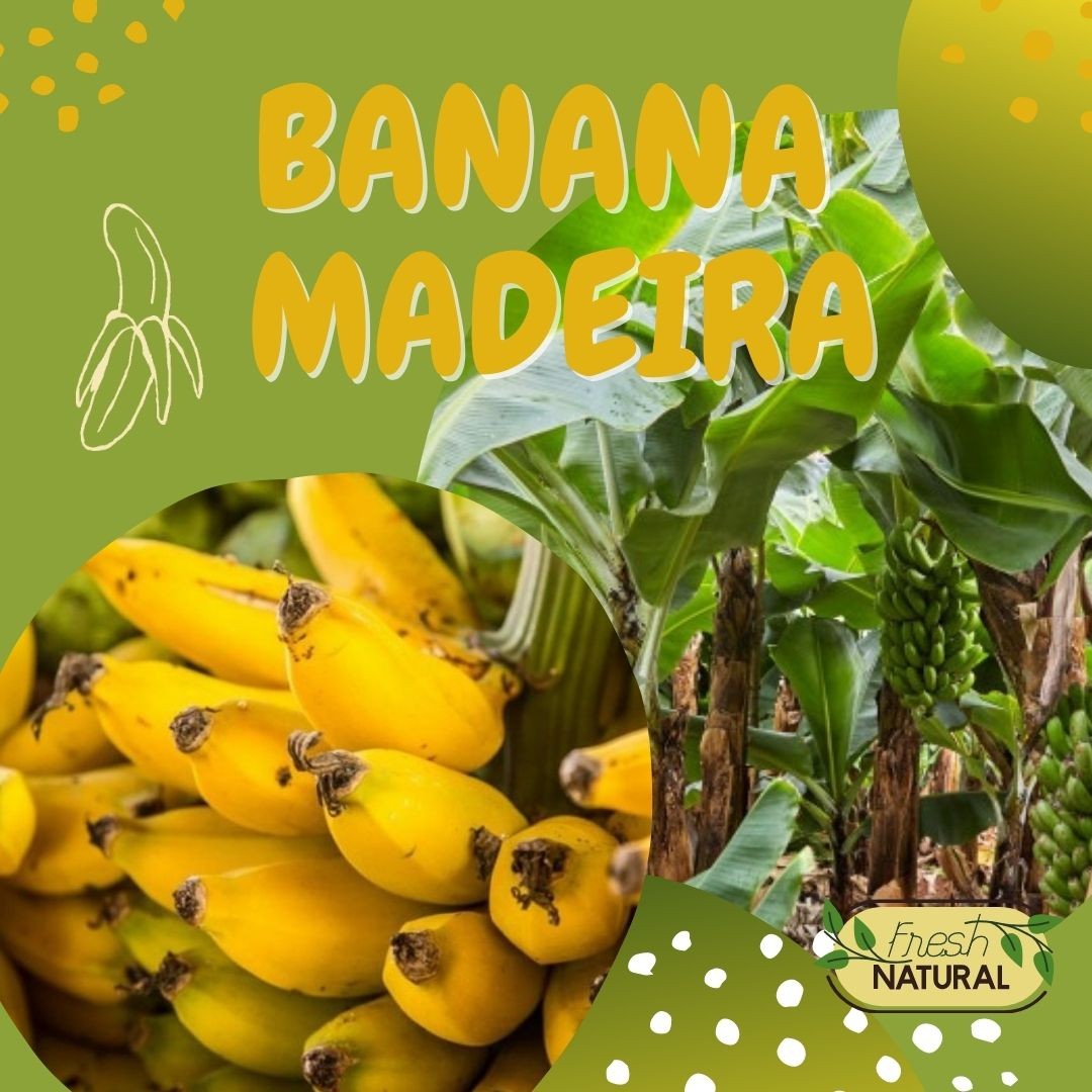 Banana da Madeira CAT Extra 6 unids +/- 850g - Delícias Banana da Madeira CAT Extra 6 unids +/- 850g