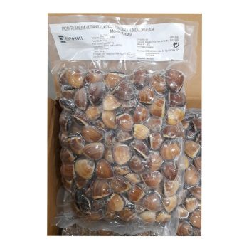 Amêijoa Castanha Vaporizada Congelada (60-80) Gelcentro 1kg