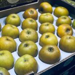 Maçã Reineta CAT II (75/80) kg