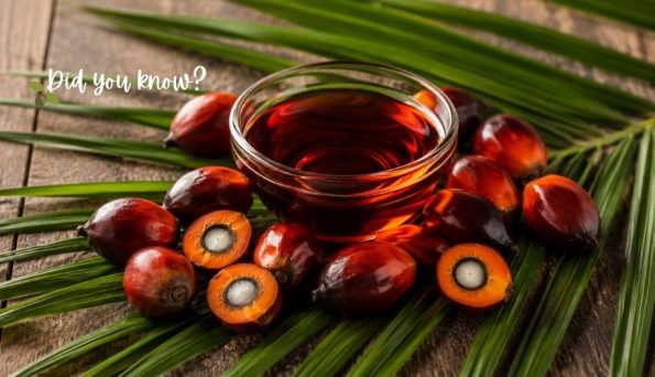 A glass bowl of palm oil surrounded by fresh date-like fruits on palm fronds, on a wooden surface, with the caption 'Did you know?'