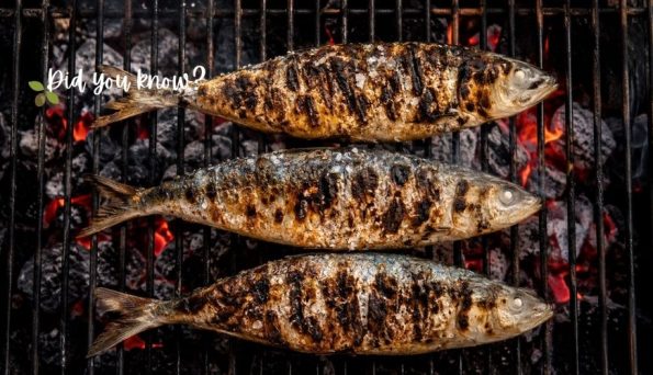 Three grilled sardines on a barbecue grill over glowing coals, with a 'Did you know?' watermark in the corner.