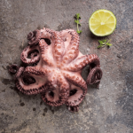 Canosa Frozen Octopus (0.8-1.2 Size) +/- 1Kg
