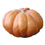 Fresh Menina Pumpkin Cat Ii 1Kg