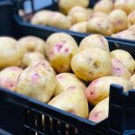 Fresh White Potato Agria Type 1kg - Delícias Fresh White Potato Agria Type 1kg