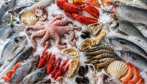 Assorted seafood on ice, including octopus, lobster, oysters, shrimp, and fish, with a 'Did you know?' overlay in the corner.
