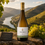 Bottle of Pacheca wine on a stone ledge with a cluster of grapes nearby and sunlit terraced Douro vineyards in the background.