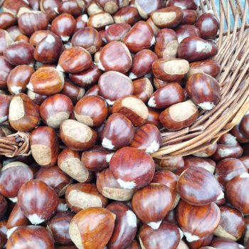 Portuguese Martainha Chestnuts (Size 50/60) 1 kg